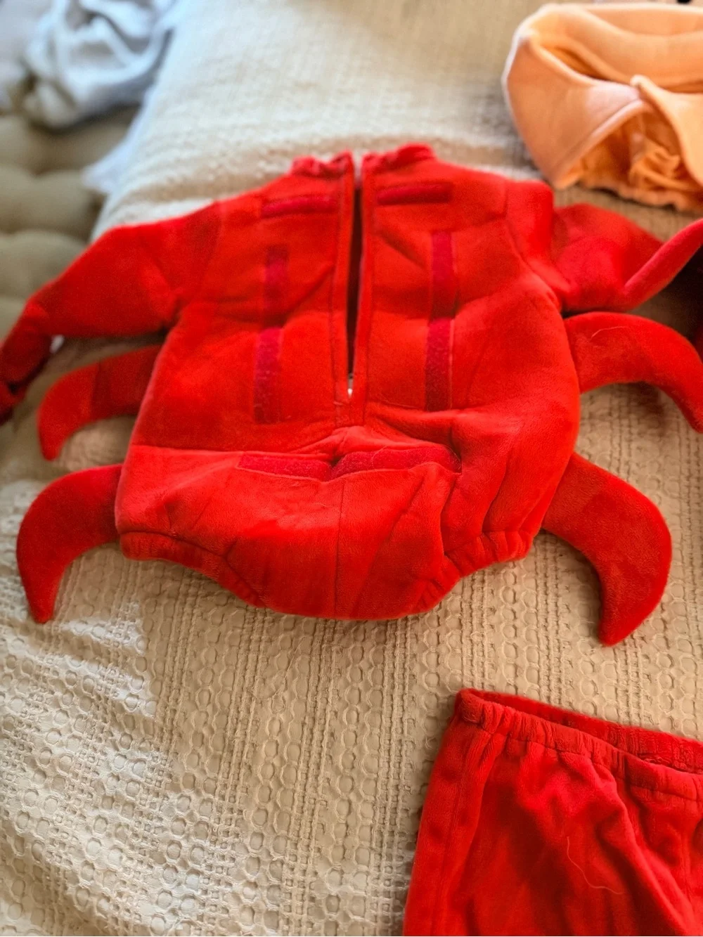 Sebastian toddler 12-18 months